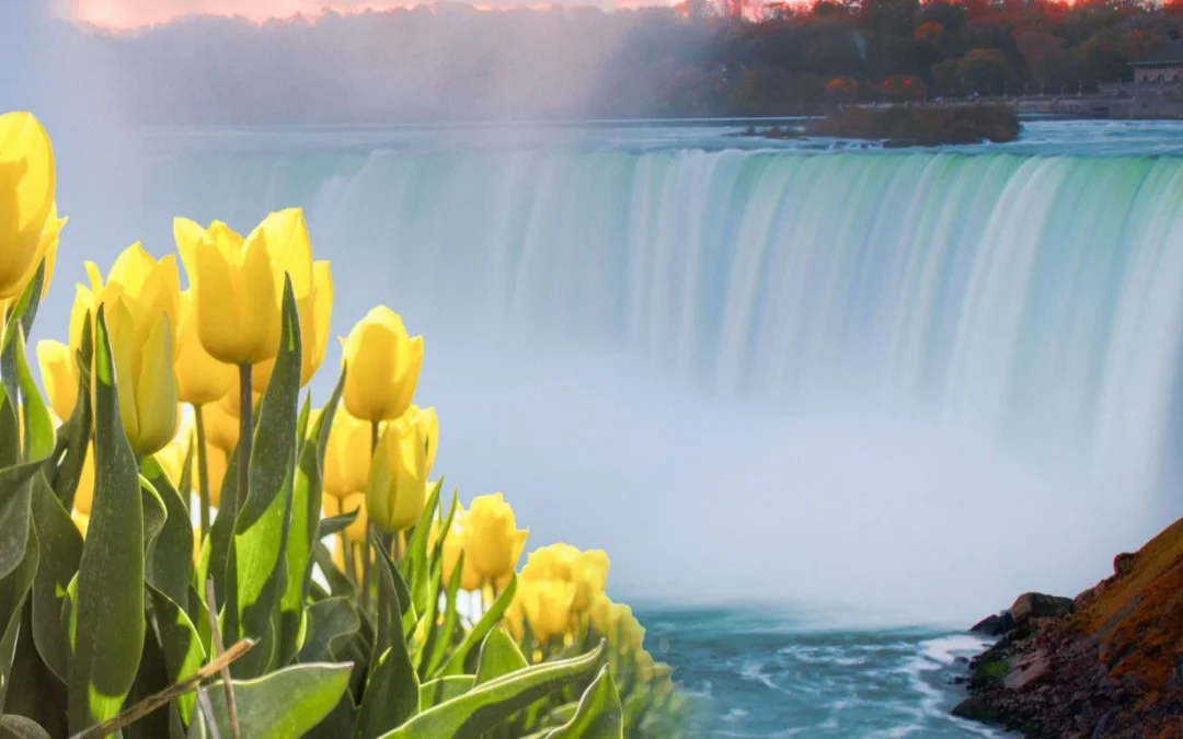 Spring Is Here — Time to Breathe Easy, Niagara!